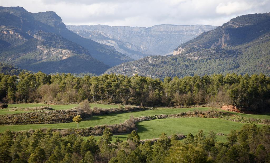 Masia Massanes Affittacamere Tiurana Esterno foto